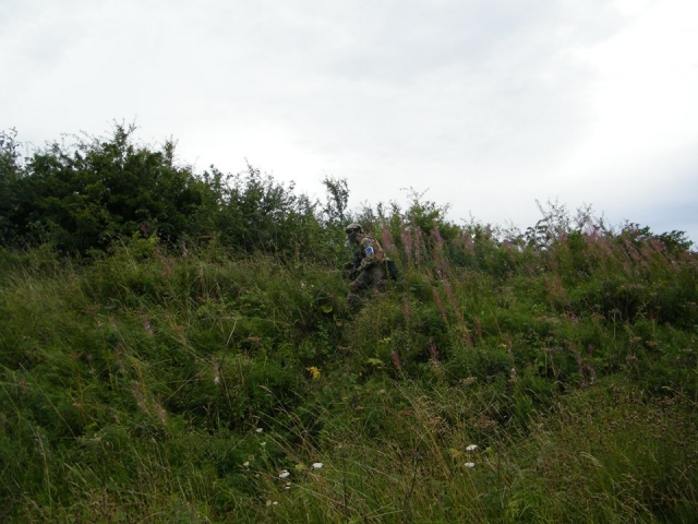  Camuflados en la hierba 